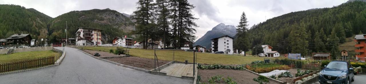 Apartment Alpenblick Saas-Grund Eksteriør billede